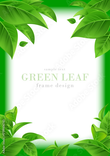 青葉のフレームデザイン｜新緑の葉のリアルなベクターイラスト