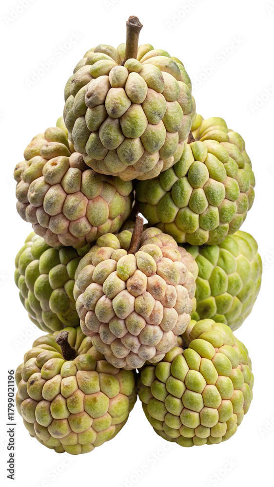 Fototapeta premium Green fresh custard apples (annona squamosa) tropical fruit
