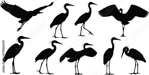 Silhouette collection of herons in various poses, standing, flying, wading birds, wildlife illustration set, nature design elements for decoration