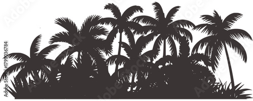 Tropical palm trees jungle foliage vector