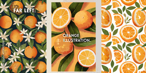 Vibrant orange illustrations featuring whole fruits slices and blossoms on dark and light backgrounds