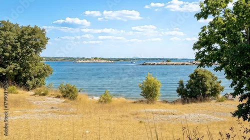 Seaside Serenity: A panoramic vista unfolds, revealing a serene coastal landscape where a calm blue sea meets a bright sky, framed by vibrant greenery and an expanse of golden grasses.