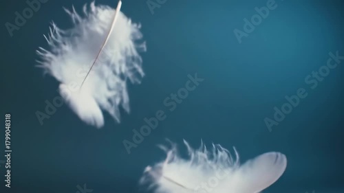 White feathers floating against blue background, symbolizing peace, tranquility and freedom, for design