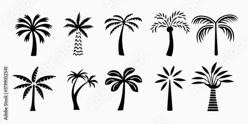 Collection of diverse black silhouette palm tree icons on a white background representing tropical and exotic locations