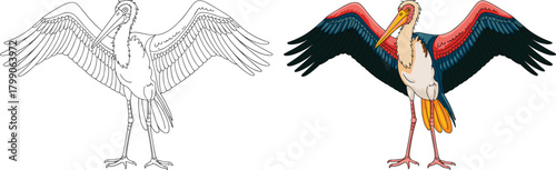 Colorful bird illustration with wings spread, outline sketch and detailed feathers, wildlife coloring page, educational animal artwork, printable nature design for kids