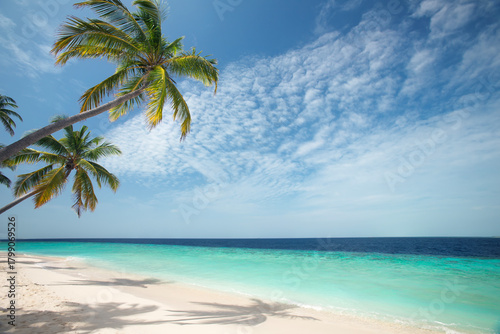 Fototapeta Naklejka Na Ścianę i Meble -  Tropical beach and palm trees, The Maldives, Indian Ocean, Asia
