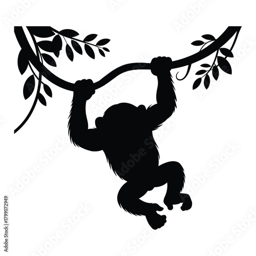Chimpanzee swinging from vine Vector, Silhouette, Illustration
