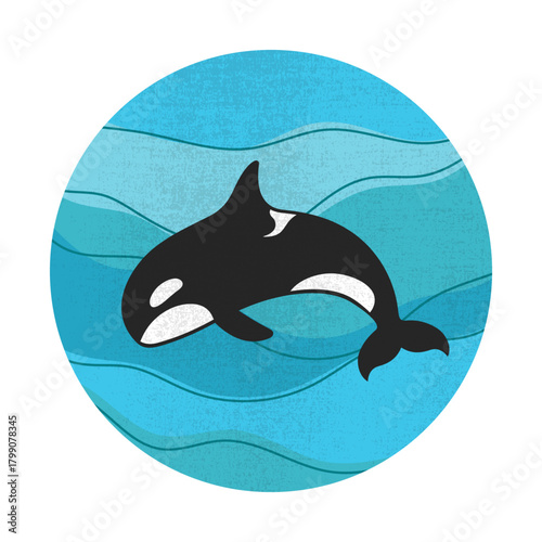 Killer whale orca on ocean waves. Sea animal emblem. Vector illustration