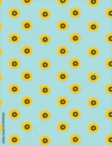Sunflower seamless pattern. Illustration sunflower seamless pattern, floral spring.    Sunflower vector seamless pattern floral texture
