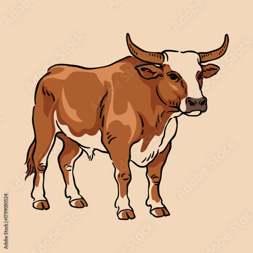 Cow Illustration, Brown Farm Cow Standing Vector in Full Body