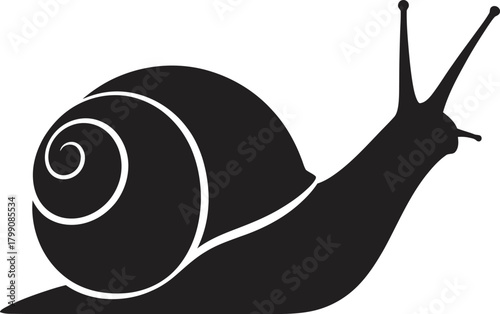 Black Silhouette of a Snail with Spiral Shell.