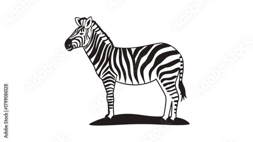 Zebra silhouette