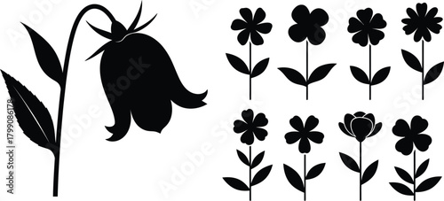 Collection of black silhouette wildflowers and bell flower isolated on white background