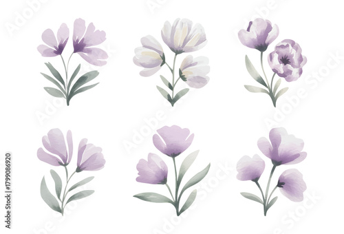 Calm lilac tulip sprigs in soft watercolor tones. Purple tulip florals soft watercolor brush tone.