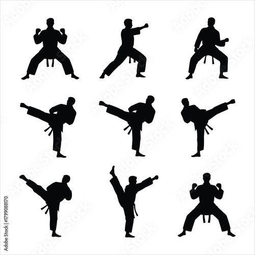 Karate Master Stances - Martial Arts Character Icons