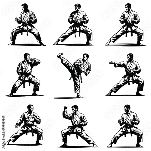 Martial Arts Action Poses - Karate Warrior Silhouettes