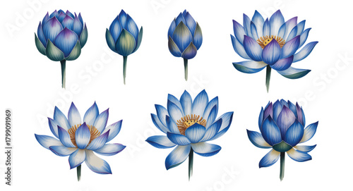 Blue lotus petals in elegant watercolor bloom.