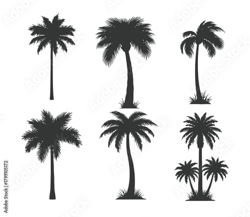 Collection of six distinct silhouette palm trees with varied heights and foliage shapes against a clean white background