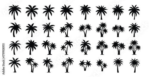 Collection of diverse black silhouette palm trees isolated on a white background showcasing various shapes and sizes for tropical design elements