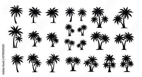 Collection of silhouetted tropical palm trees in various shapes and sizes isolated on a white background for design