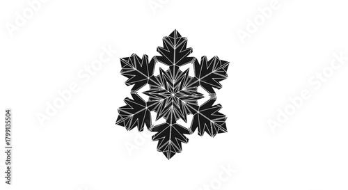 A detailed black and white illustration of a snowflake with intricate patterns.