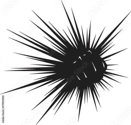 Striking black sea urchin spiky marine life silhouette isolated on white