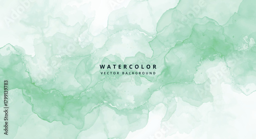 A delicate watercolor background in shades of light green, creating a soft and dreamy texture, perfect for adding a touch of serenity to any design project isolated on