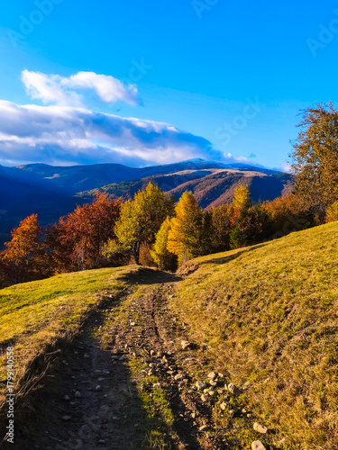 Mountain road in autumn