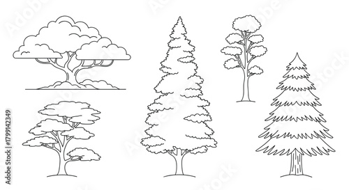 A collection of distinct tree illustrations with varying shapes and foliage details for artistic or design purposes.
