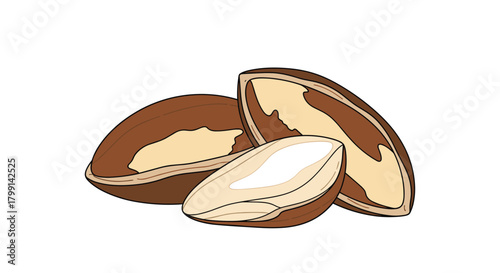 Healthy and nutritious Brazil nuts rich in selenium and essential minerals.