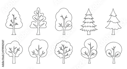 A simple set of hand-drawn deciduous and coniferous trees with a dashed outline.