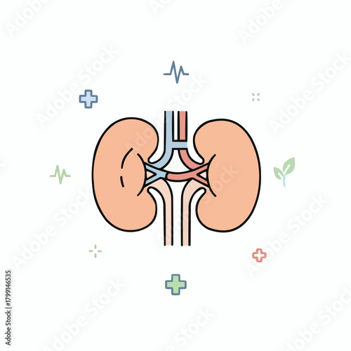 Kidney Health