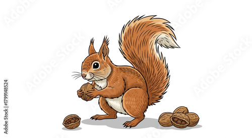 Illustration of a squirrel holding a nut with more nuts on the ground.