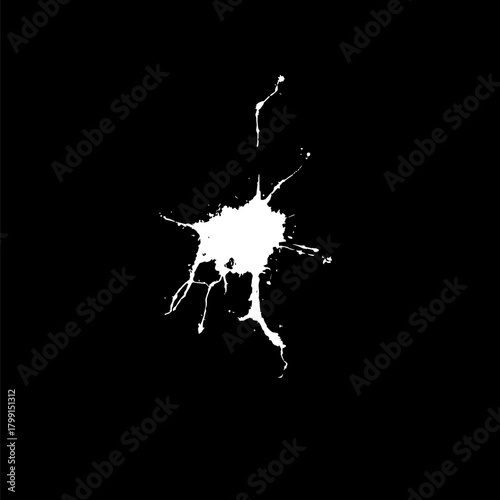 Hand drawn stylized grunge bird droppings set black and white. Flat blots set style vector illustration. (Can be used as texture for cards, invitations, DIY, web sites)