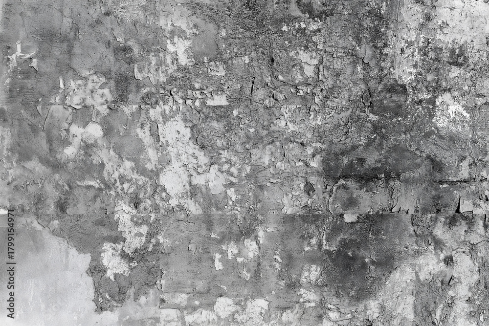 Fototapeta premium Decayed flakes on a weathered wall