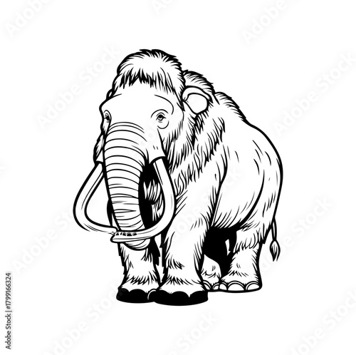 elephant cartoon illustration