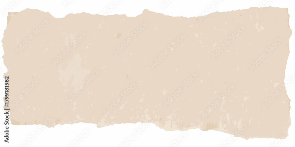 Fototapeta premium A torn piece of aged beige paper with a textured surface and irregular edges