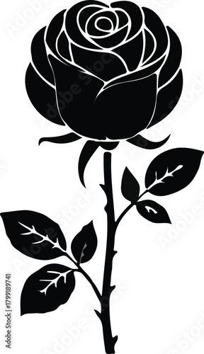 Black and white rose floral vector illustration