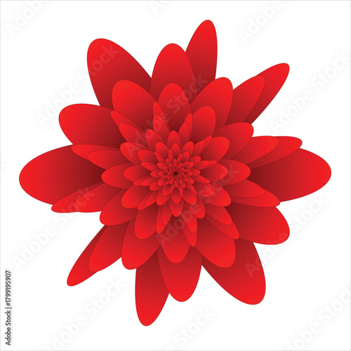 Flower red petals graphic