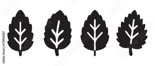 Black mint leaves icon set vector illustration design.