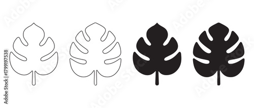 Monstera deliciosa leaf icon set. tropical plant vector graphic.