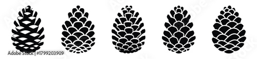 pine cone vector design with black silhouette and white background