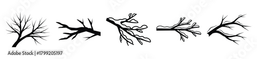 snowy tree branch vector design with black silhouette and white background