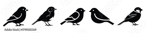 winter bird vector design with black silhouette and white background