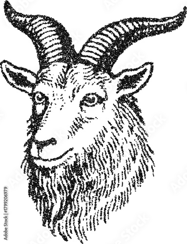 Stipple vector goat head portrait with horn and beard, occult satanic symbol engraving for mystic apparel or tattoo art
