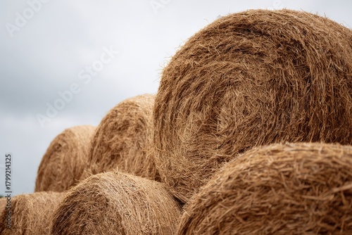 Close up of round hay bales under a cloudy sky