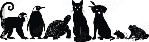 Animal silhouettes, monkey, chimpanzee, penguin, tortoise, cat, dog, mouse, frog, wildlife diversity, species icons, black shapes, vector illustration