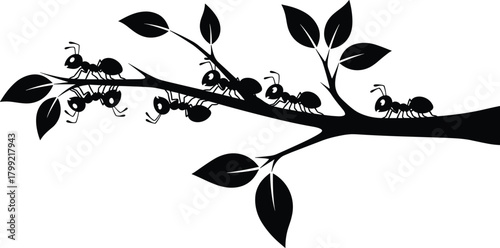 Ants walking on tree branch silhouette, insect teamwork concept, nature illustration, black and white vector, environmental design, biology theme, minimal art