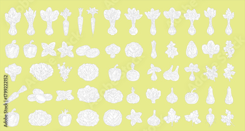 described features a charming collection of hand-drawn, black-and-white line art illustrations of various vegetables,