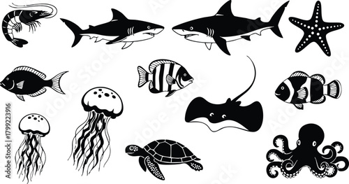 Marine animals collection with shark, starfish, octopus, jellyfish, turtle, and tropical fish vector illustration 
